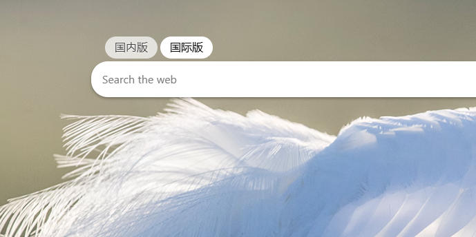 bingcom国际版入口-bing国际版网站入口2026