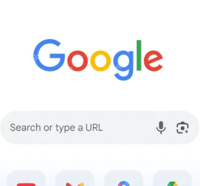 Google永久免费进入 google永久免费进入地址https - 我们