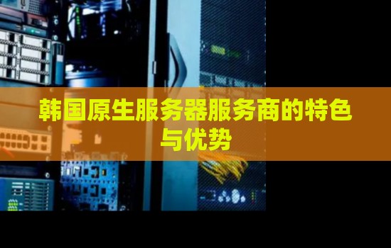 韩国原生服务器服务商的特色与优势怎么样